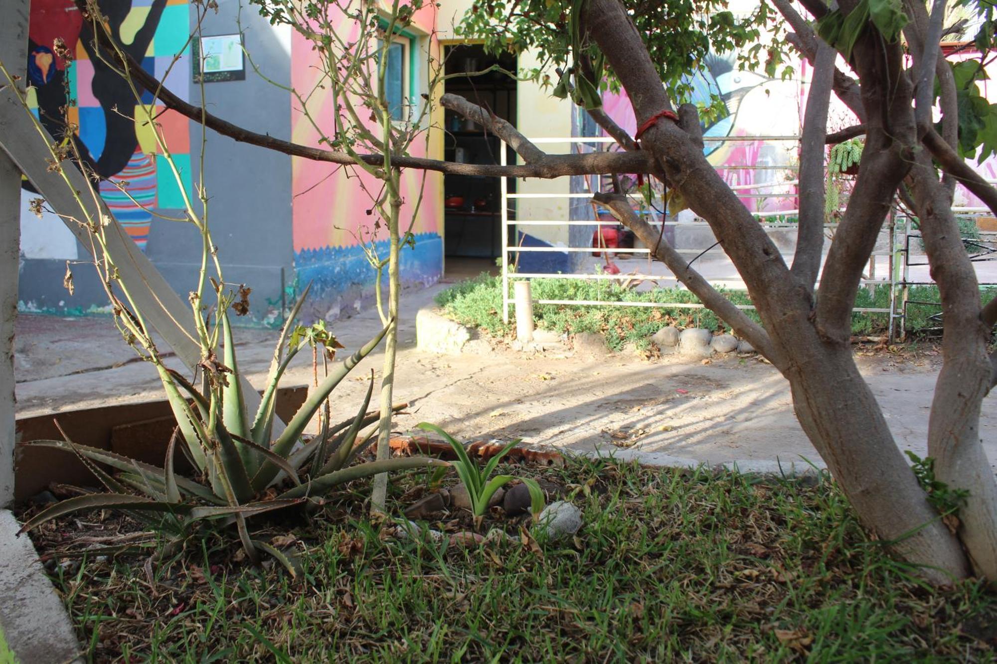 Hostel Posada De Gallo Arica Luaran gambar