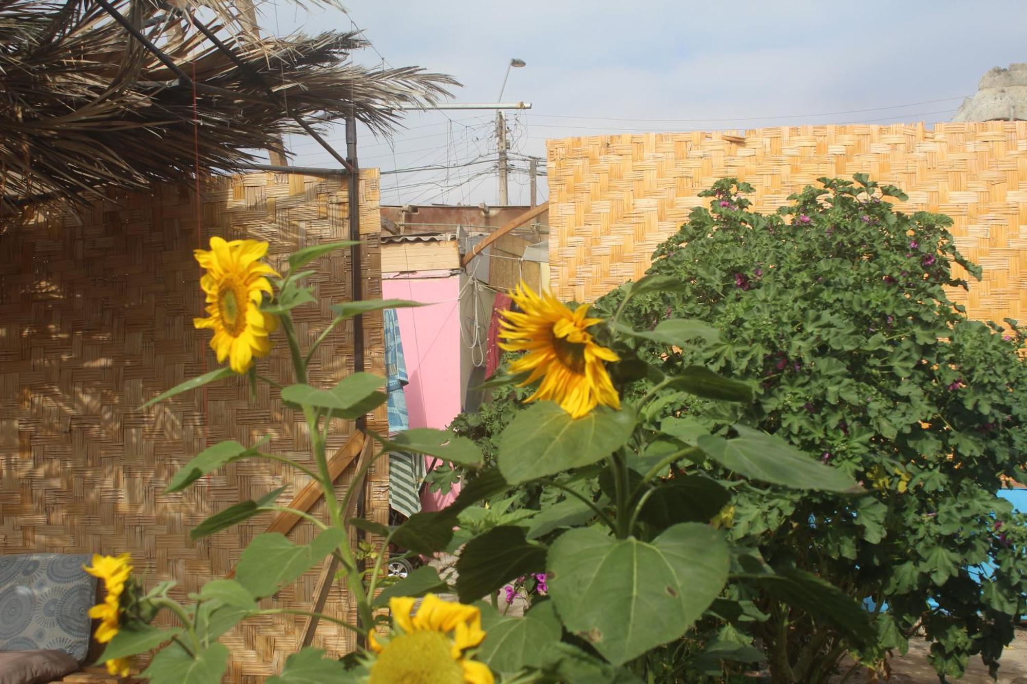 Hostel Posada De Gallo Arica Luaran gambar