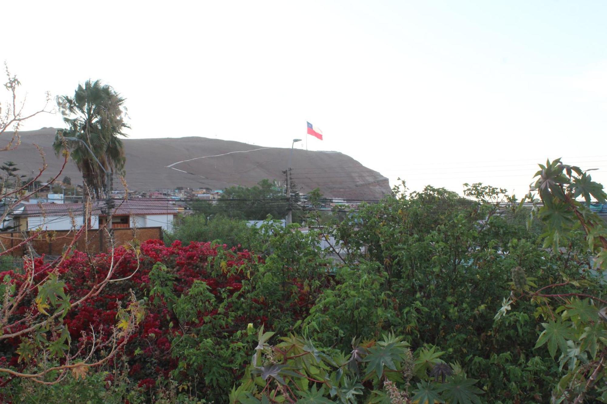 Hostel Posada De Gallo Arica Luaran gambar