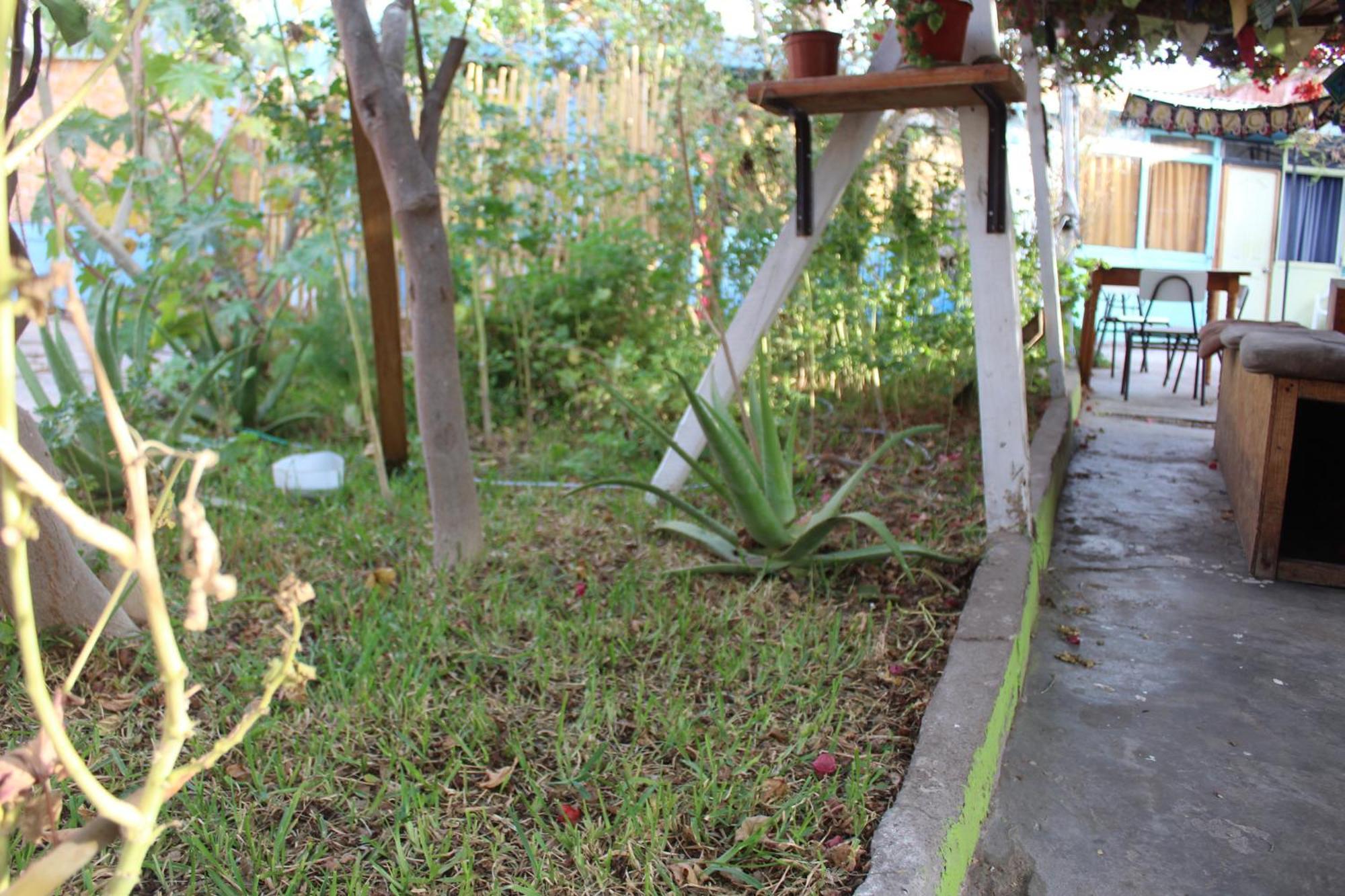 Hostel Posada De Gallo Arica Luaran gambar